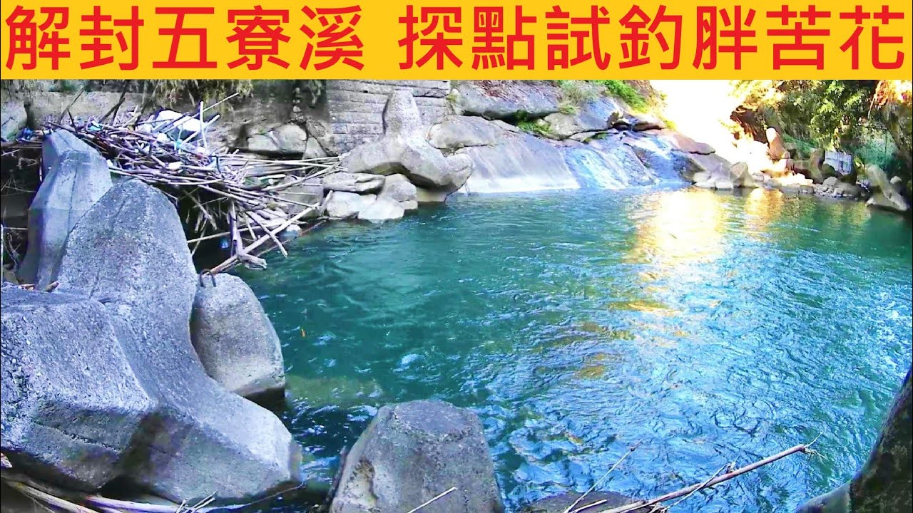 解封五寮溪 探點試釣胖苦花 @超級危險釣點 戳破封溪護魚23年ㄉ真相 #苦花 #溪釣