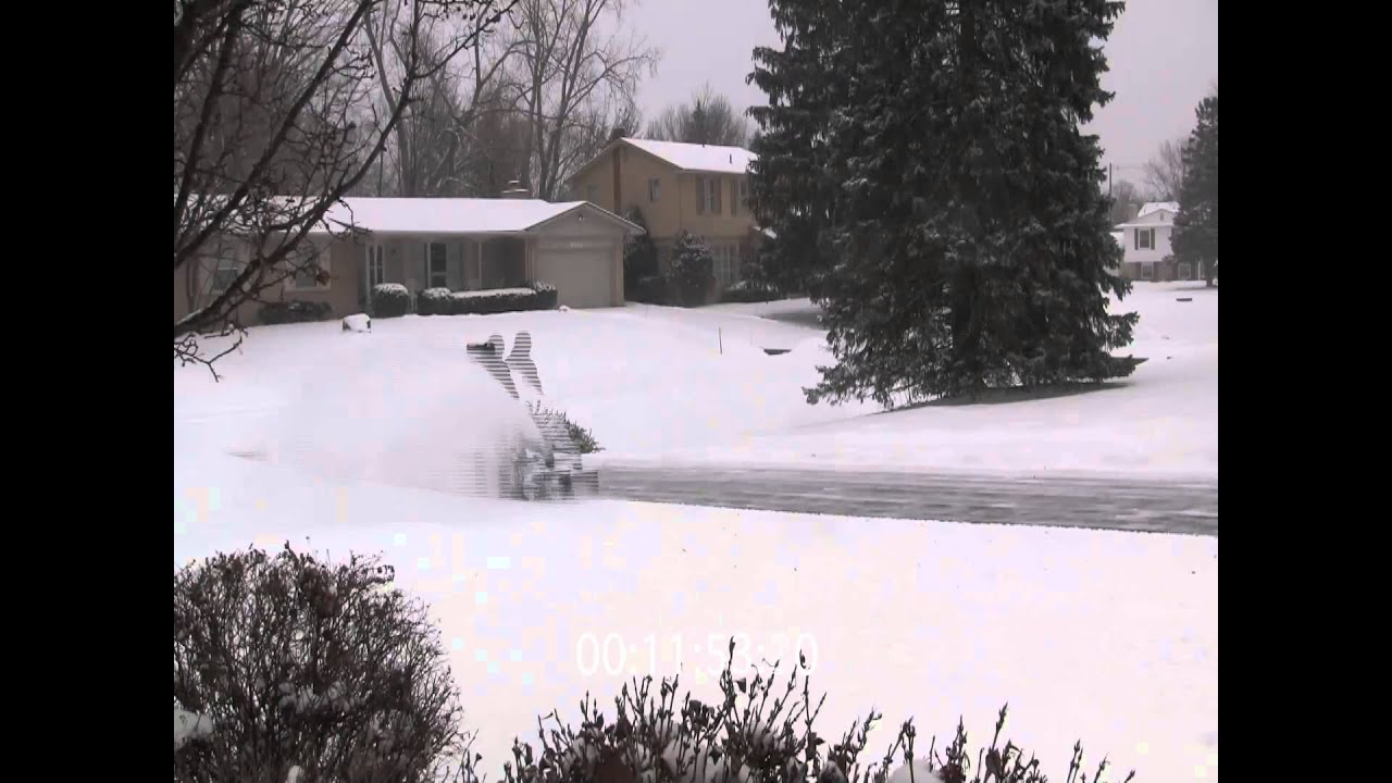 SnowJoe iON18SB 40v cordless review by DH
