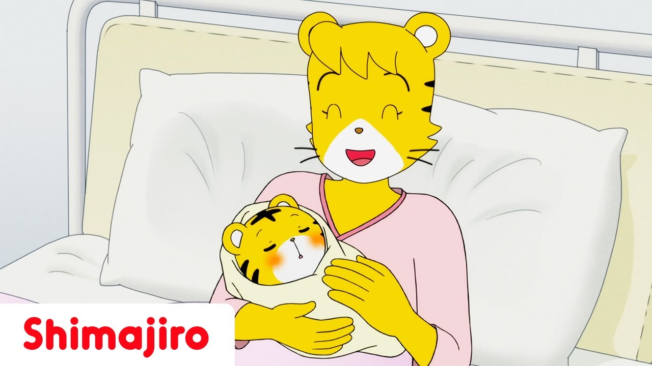 The Day I Was Born 🎂✨ A Special Birthday Surprise ❤️| Full Episode #158 | Shimajiro 🐱
