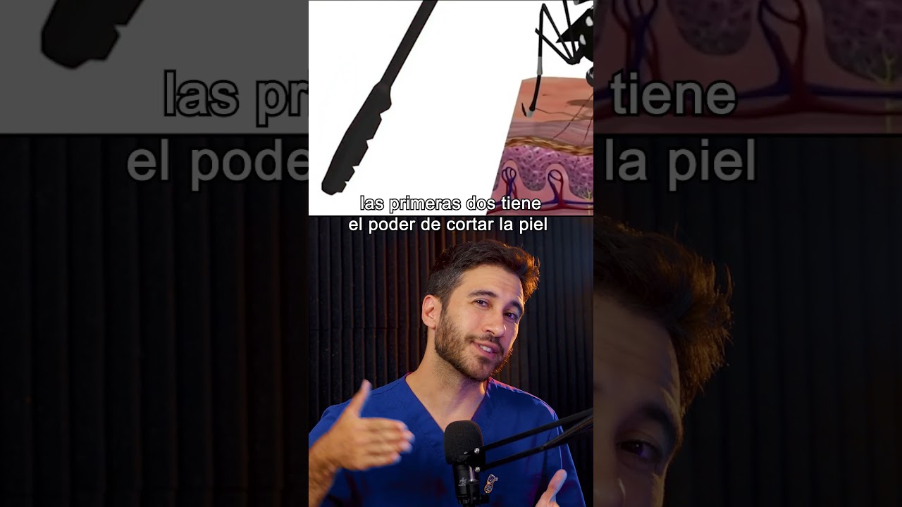 Esto pasa cuando nos pica un mosquito | Doctor Negrete