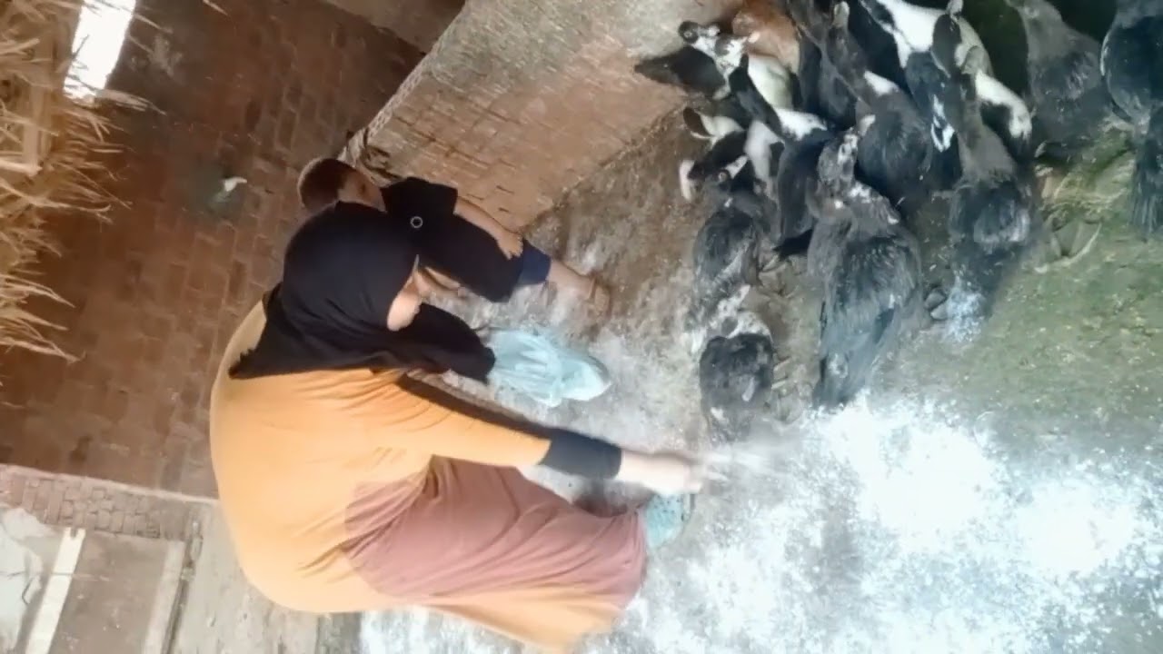 ١٤ أغسطس ٢٠٢٥