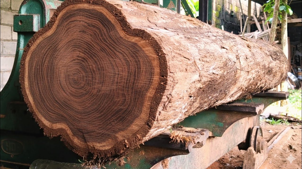 very perfect, a very beautiful work of nature and millions of benefits, in the sawmill.