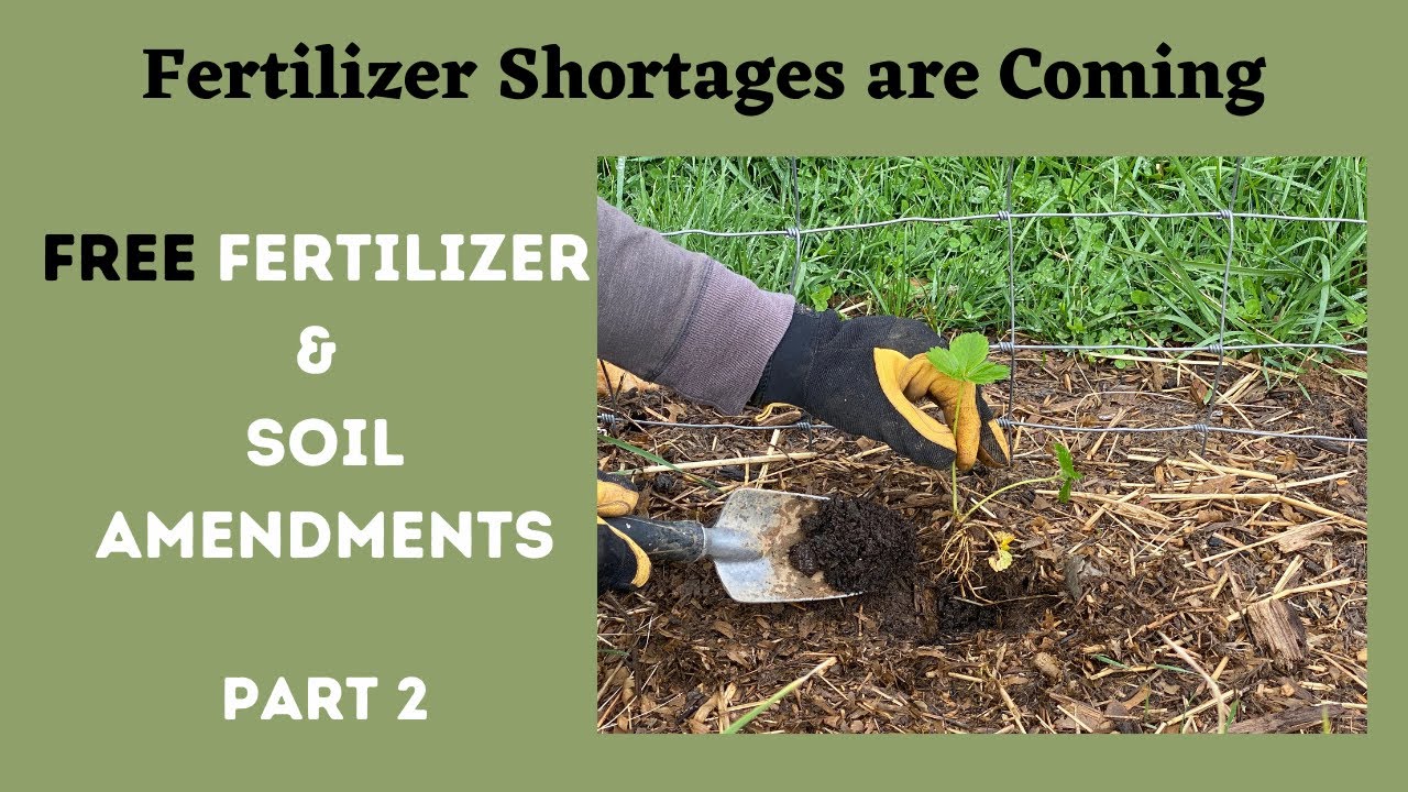 Worried About Fertilizer Shortages? Don't Be! Fertilize & Amend Your Garden For Free! Part 2