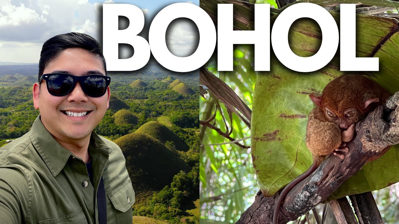 Discovering Exotic Wildlife in The Philippines (Bohol Travel Experiences)