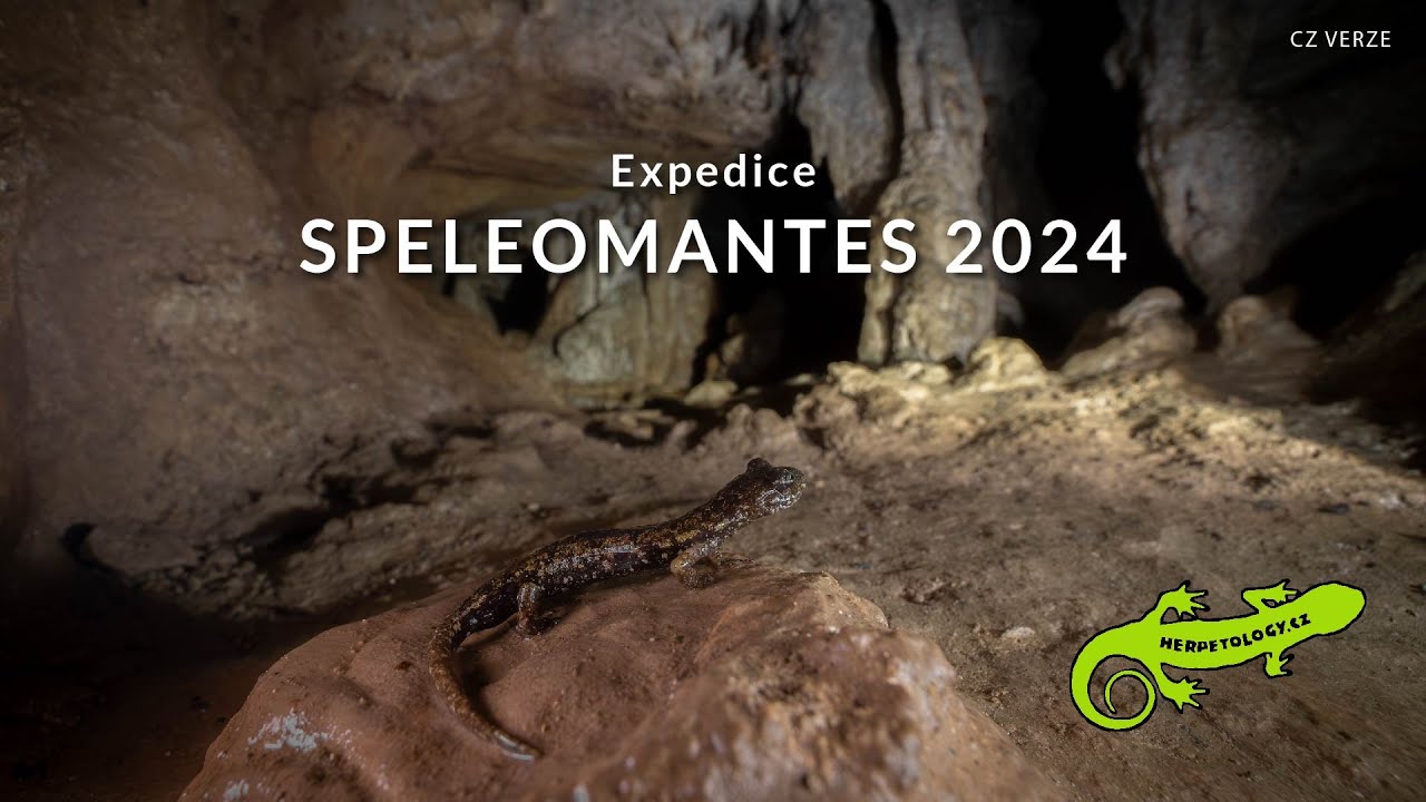 Expedice Speleomantes 2024 (CZ)