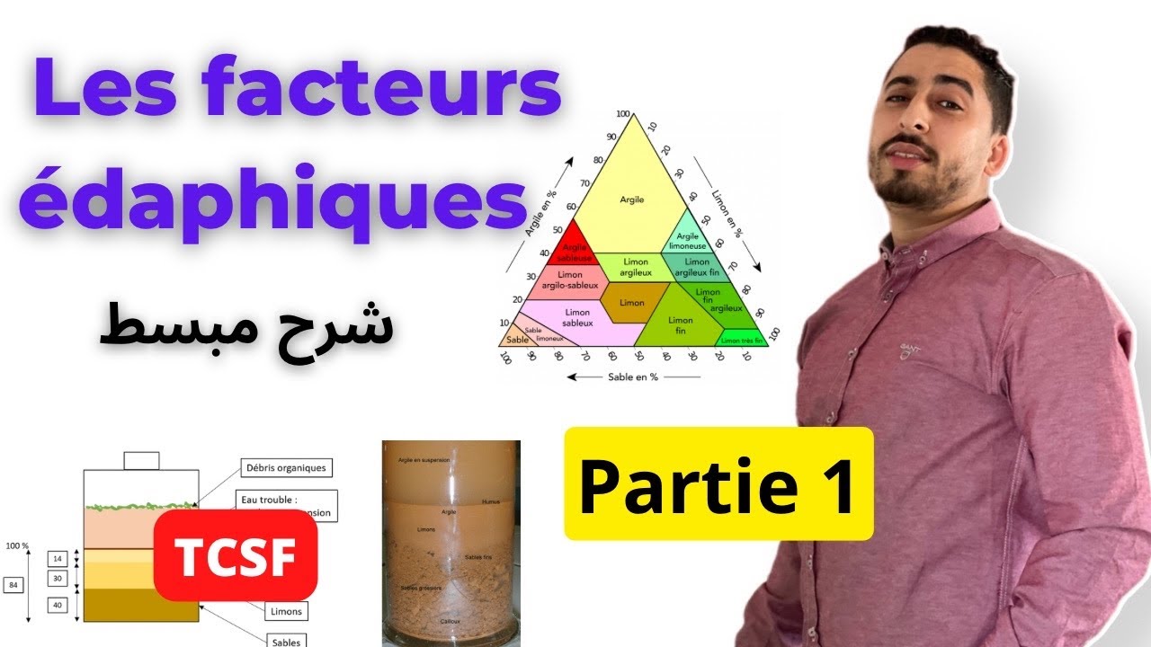 TCSF : Les facteurs édaphiques | Partie 1 ✅أبسط مافي الشرح✅ - SVT