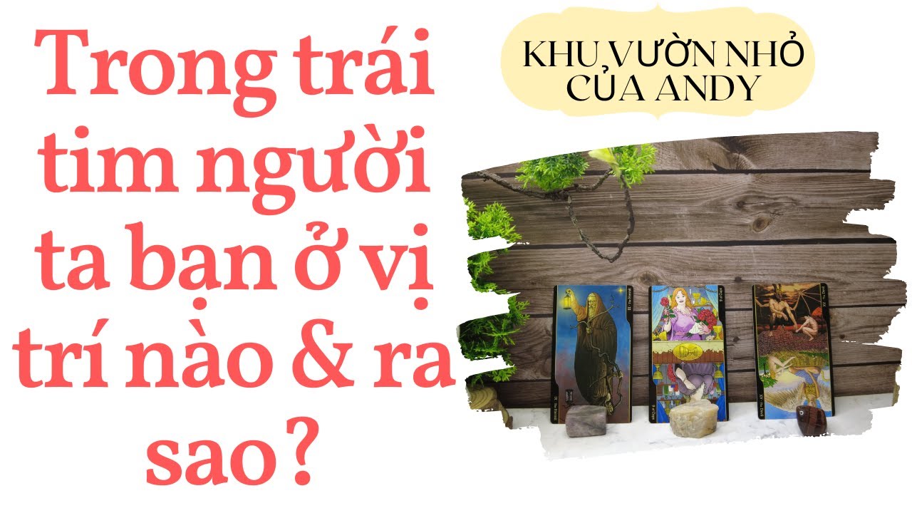 Trong trái tim người ta bạn ở vị trí nào & ra sao? {Đang quen/Crush} | Chọn 1 tụ bài | Xem tarot