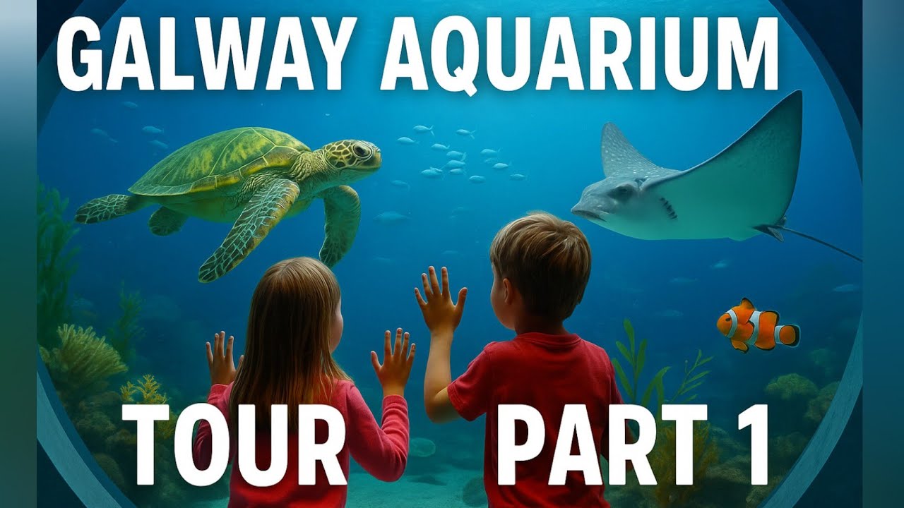 🐠 Galway Aquarium Tour | Part 1 | National Aquarium of Ireland 🌊