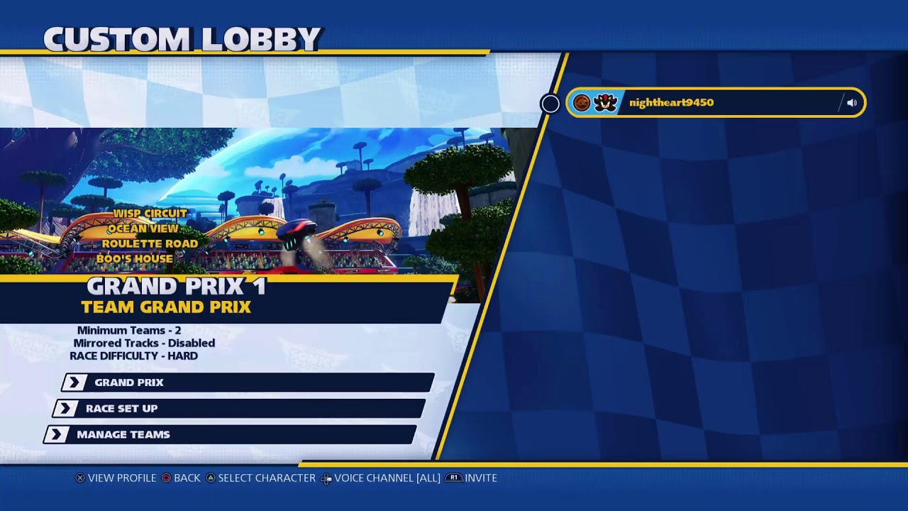 Team sonic racing