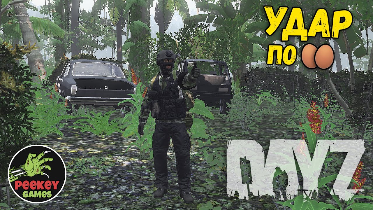 DayZ 