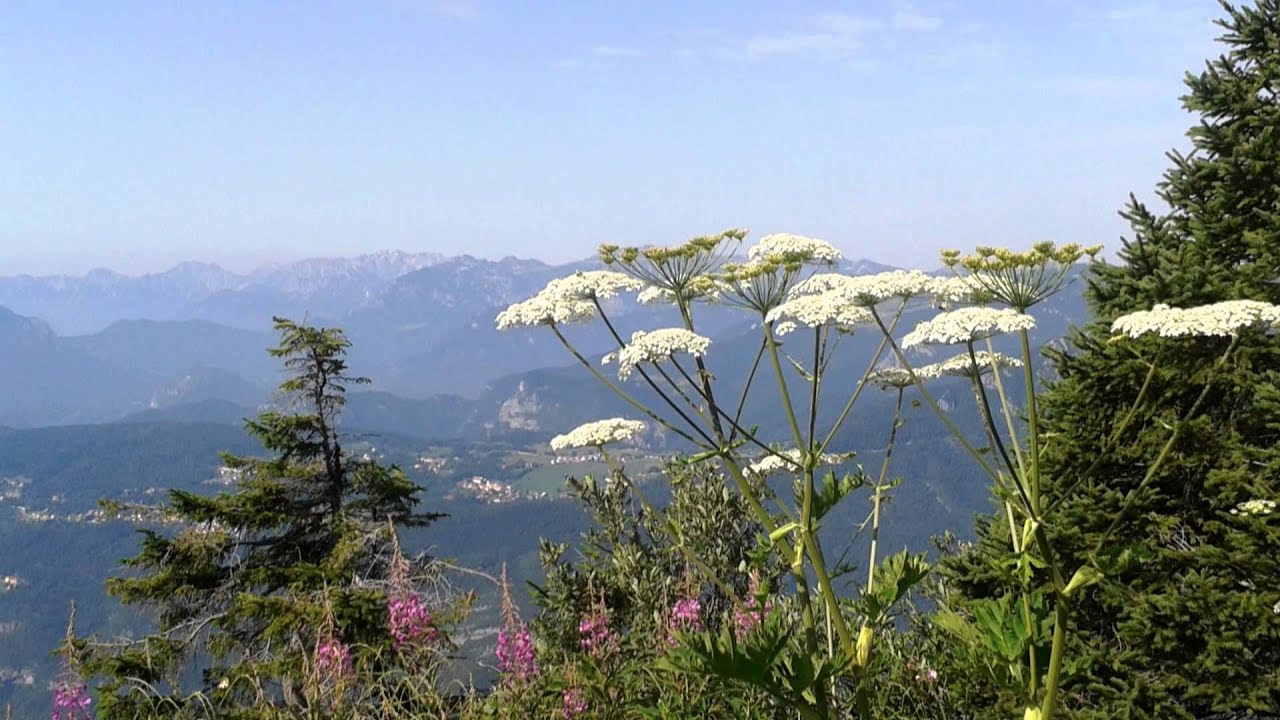 Forte Campolongo