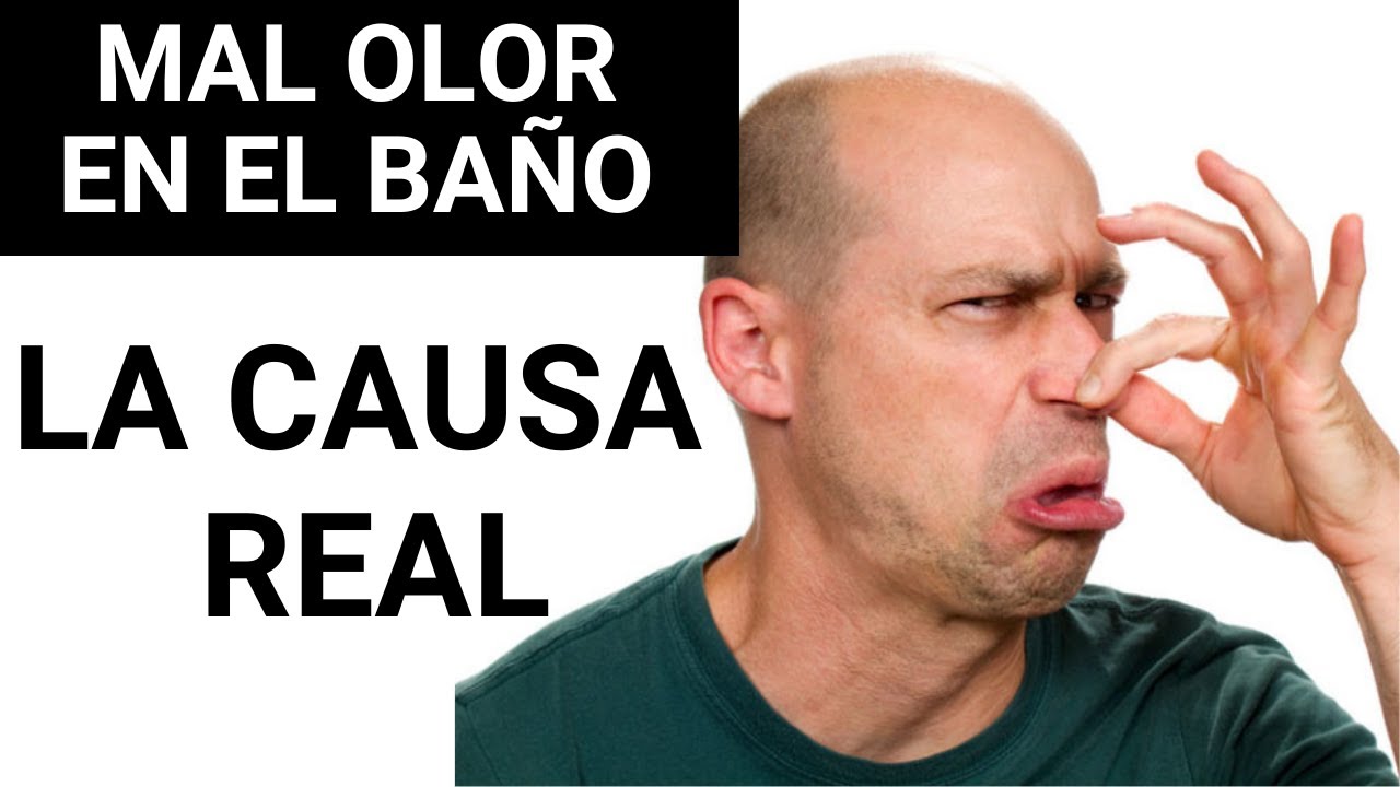Porque huele mal el baño (te sorprenderas)