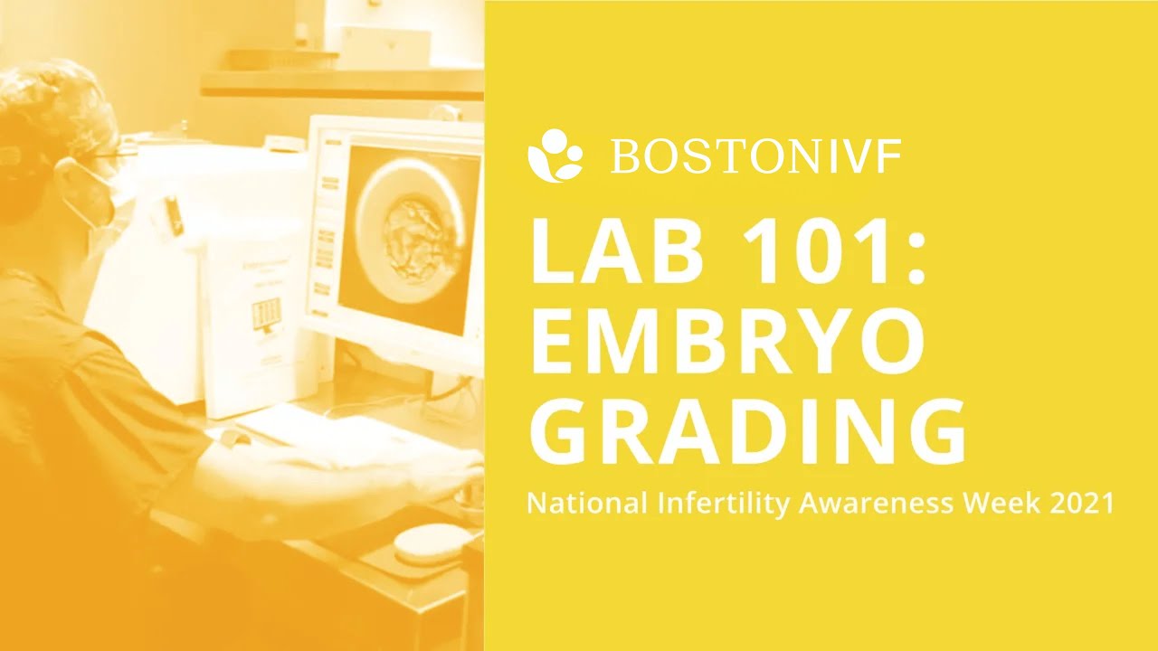 Embryo Grading at Boston IVF | NIAW 2021