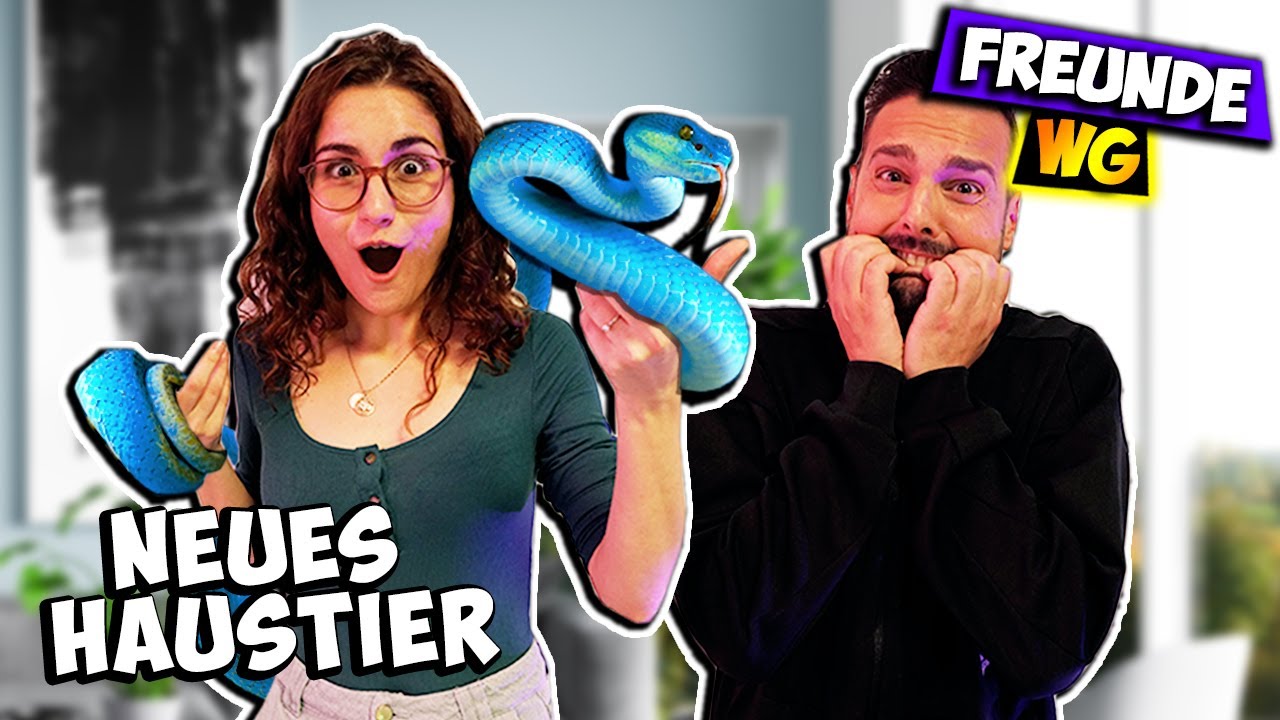 NEUES HAUSTIER FÜR DIE FREUNDE WG! Merle kauft eine Schlange? #83