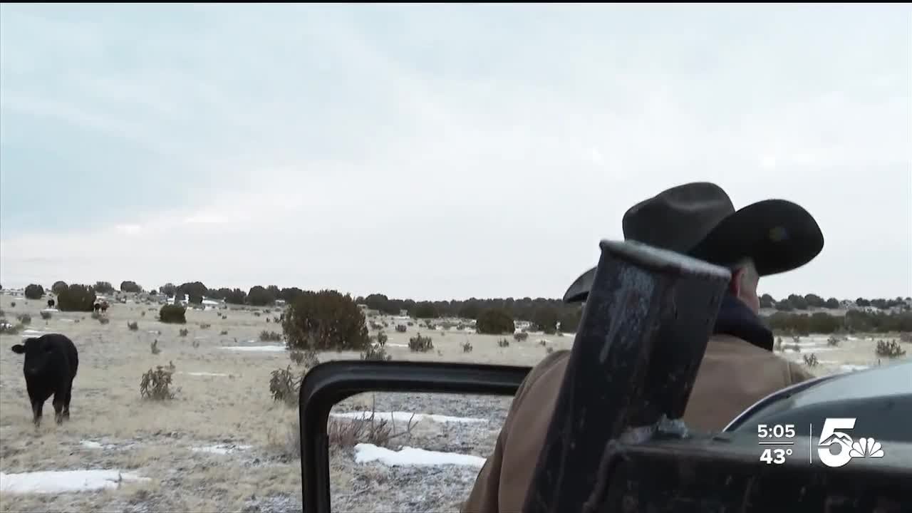 Ranching community raises concerns over proposed 'Agriculture Worker's Rights' bill