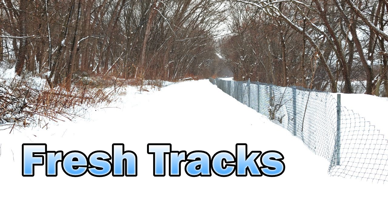 Breaking Trail So You Don't Need To...👣❄️