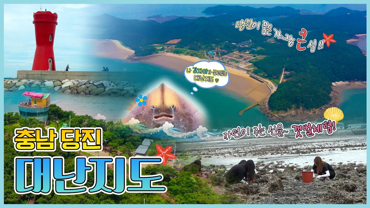 여름 향기 가득한 섬 😋 대난지도🌴  [6시N내고향] / KBS대전 방송