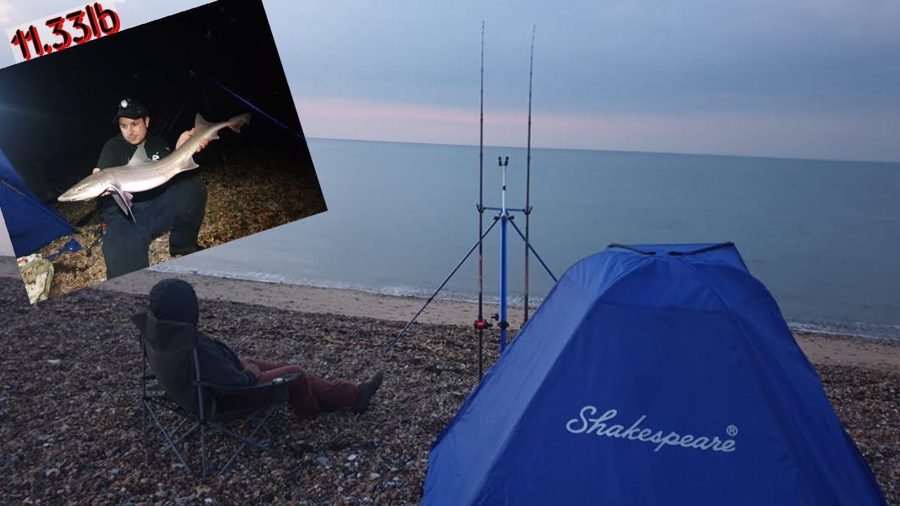 Sea fishing UK- Crazy Smoothhound session of the Year- WIBBLE WOBBLE FACTOR BABY
