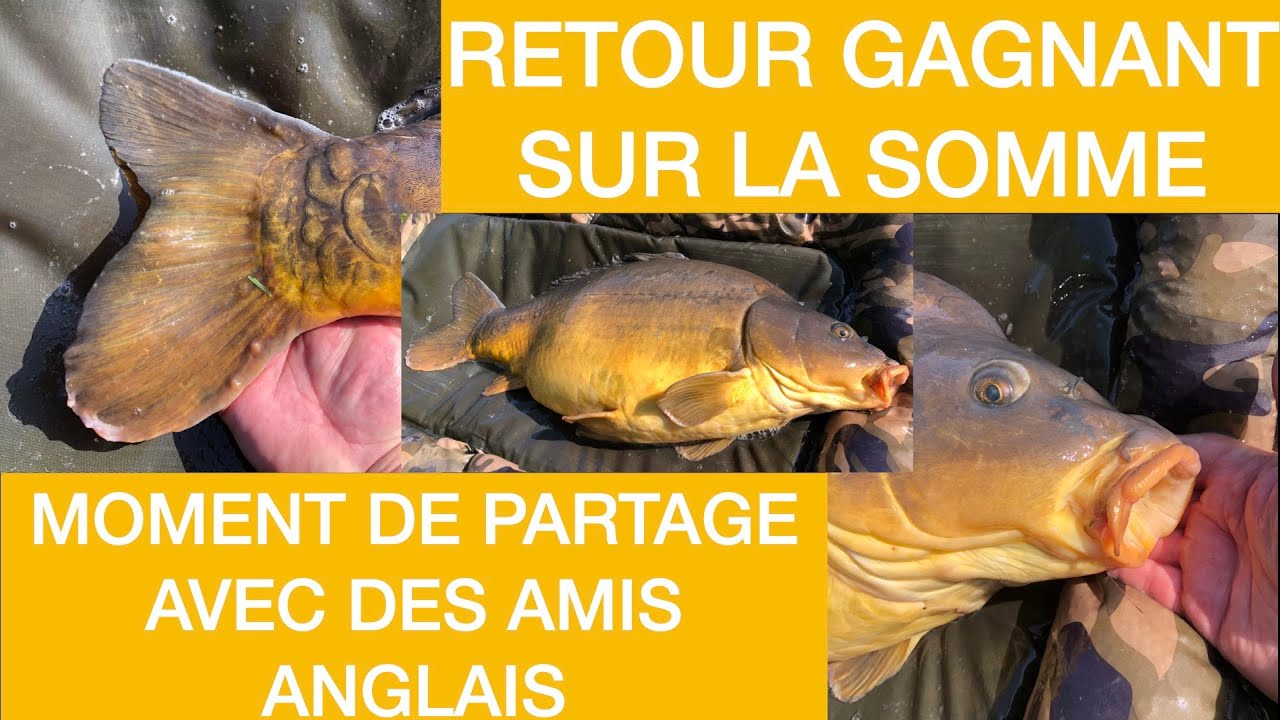 Retour gagnant sur la Somme   HD 1080p