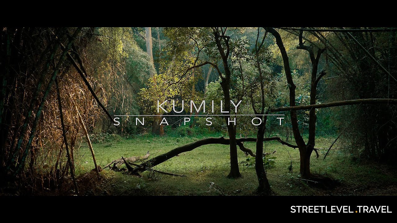 Explore Kumily - Kerala, India