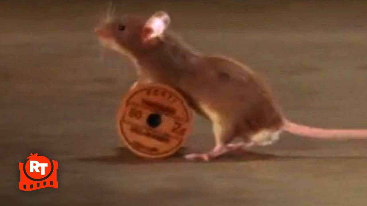 The Green Mile (1999) - Mr. Jingles, The Circus Mouse Scene | Movieclips