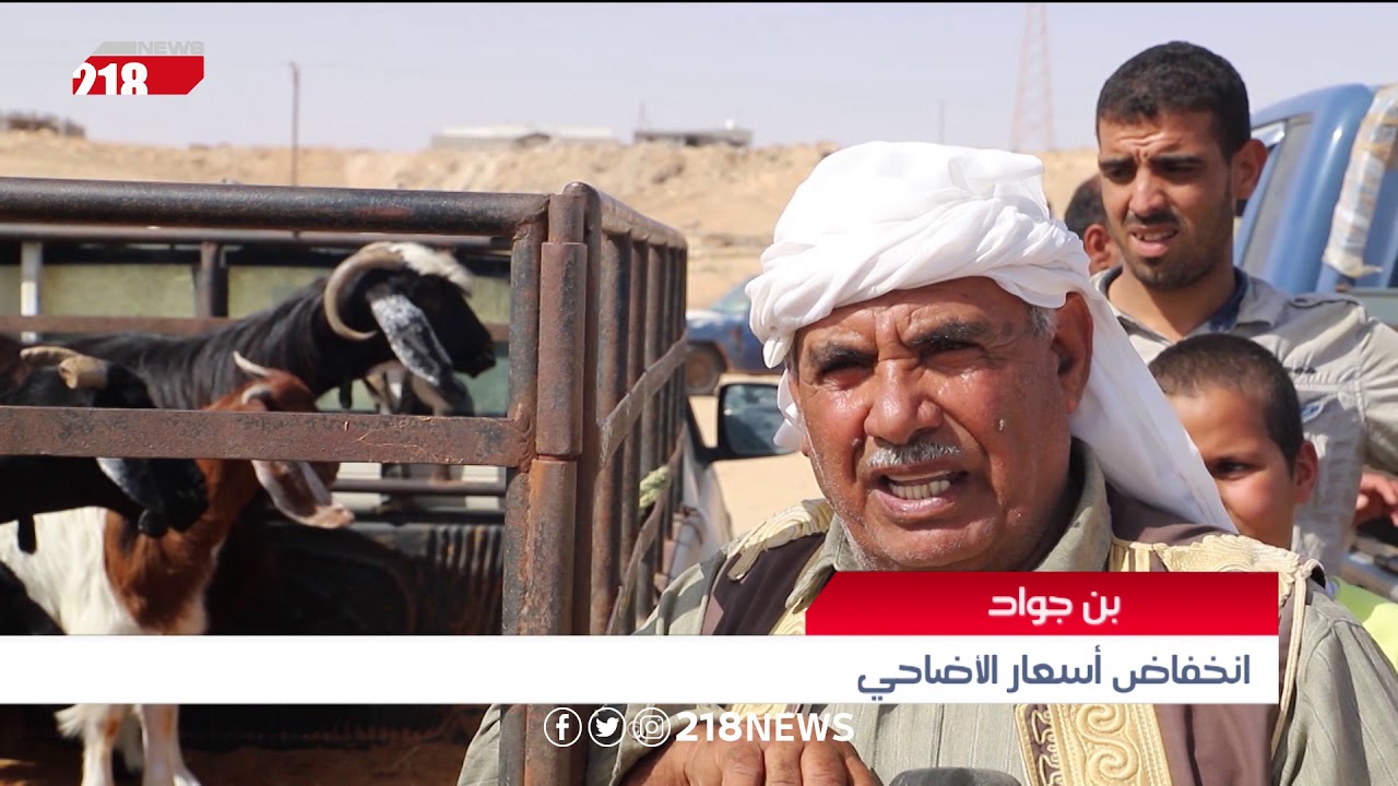 بن جواد.. انخفاض أسعار الأضاحي | ليبيا اليوم