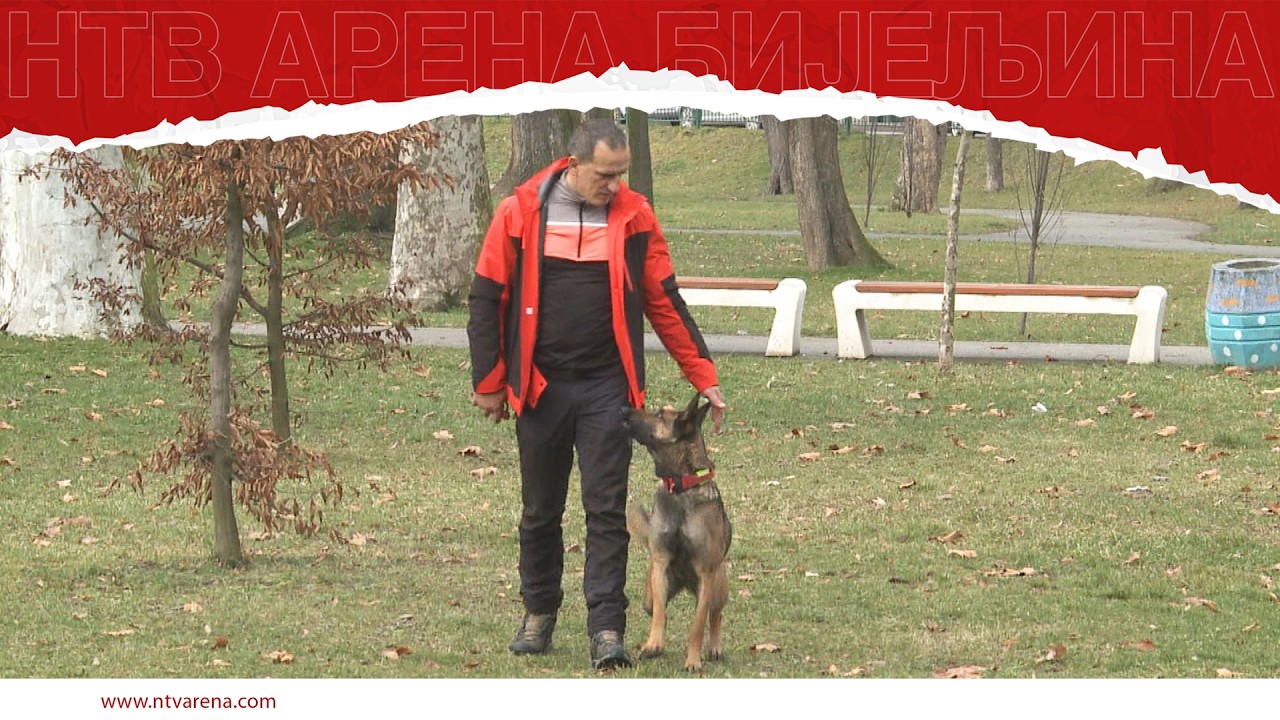Pas Kia prvi licencirani potražni pas u Srpskoj