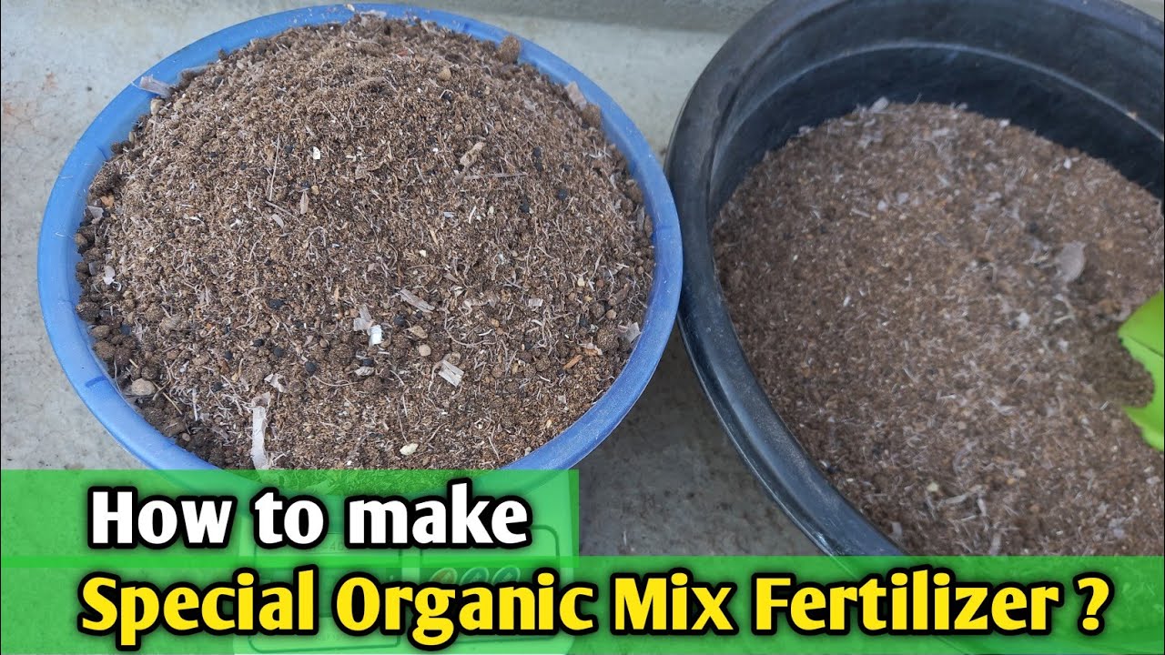 How to make Special Organic mix Fertilizer ? Make Special Mix fertilizer at your home ||