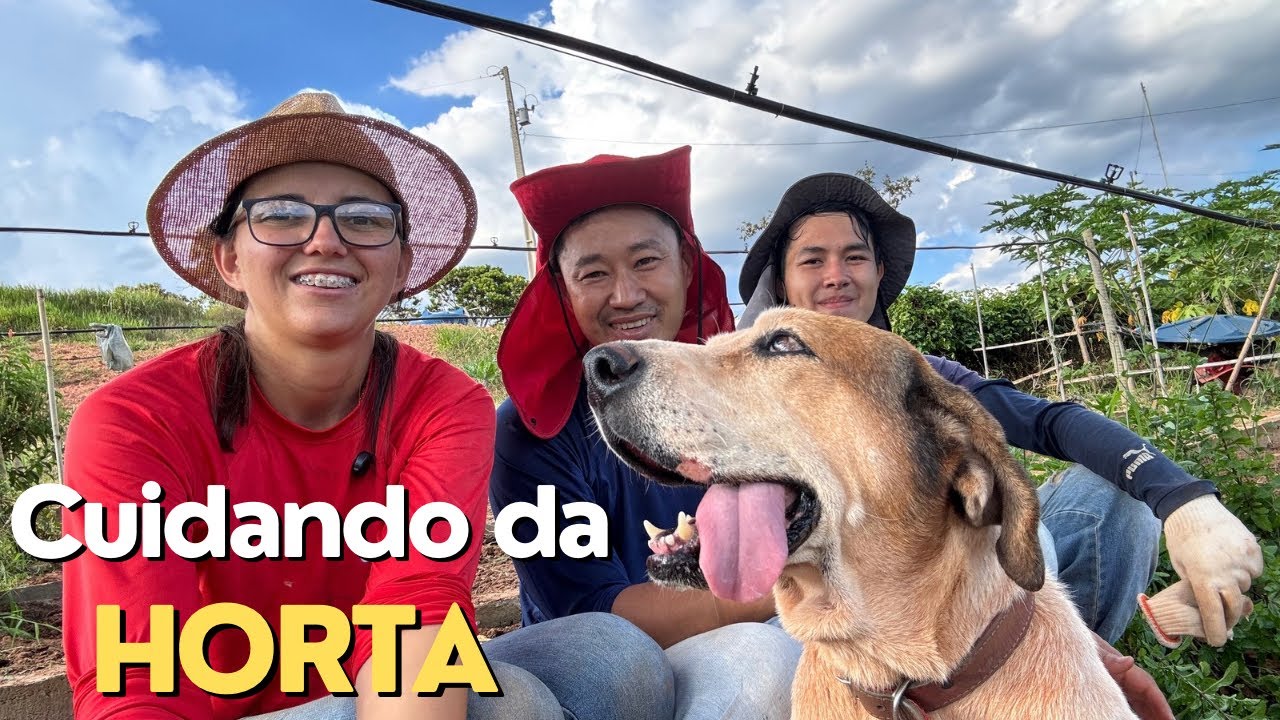 Cuidando da nossa HORTA  ORGÂNICA