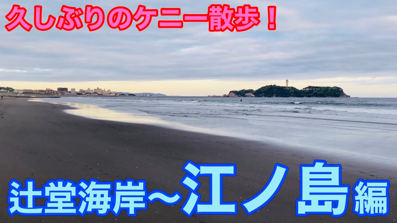 【生存報告】宇和島の皆さんへ『ケニーは生きてます！』