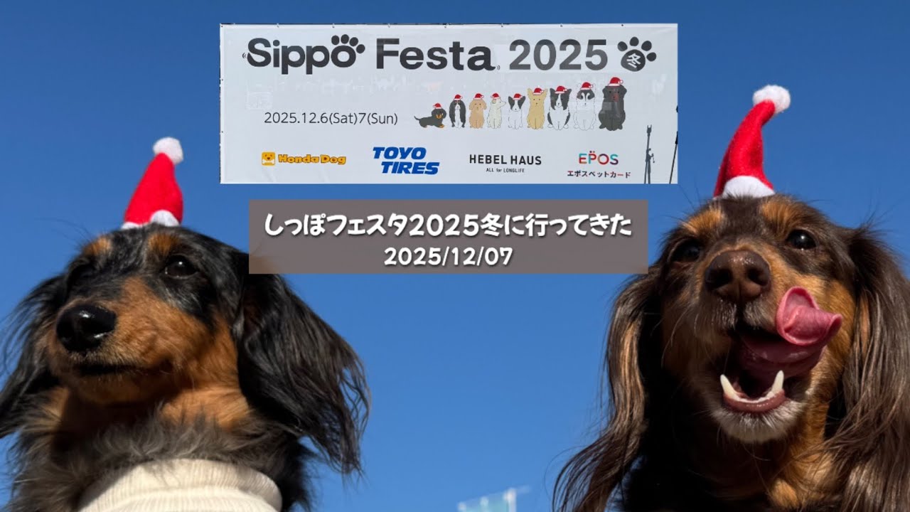 【犬イベント】しっぽフェスタ2025冬に行ってきたよ
