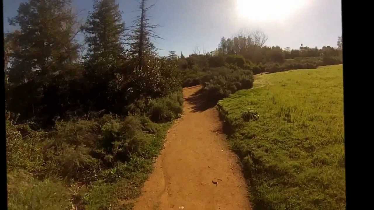 Running in Caroline Park, Redlands, CA