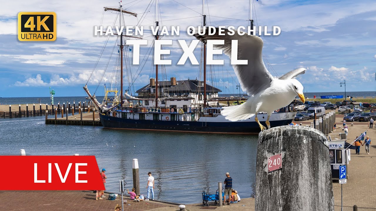 Live Webcam Texel: Haven Oudeschild | Vissershaven & Kotters (Livecam Fischerhafen & Kutter)