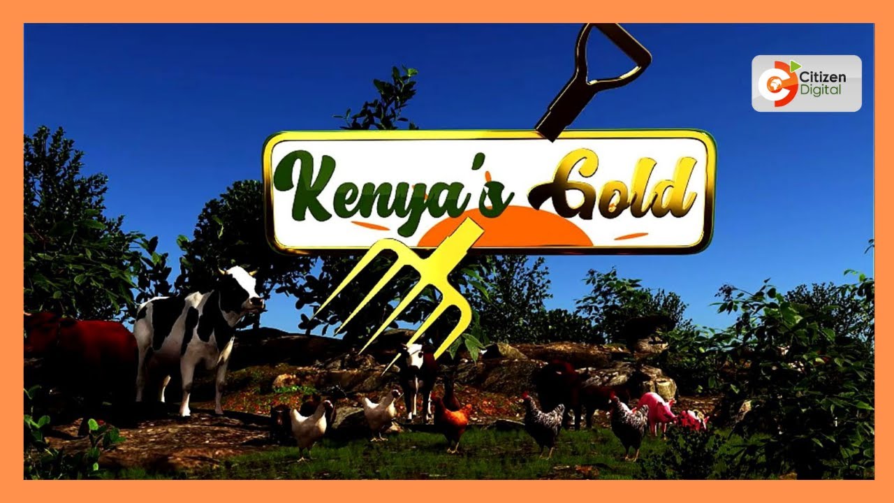 Kenya's Gold feature | Onion farming in Kenya [Part 1]