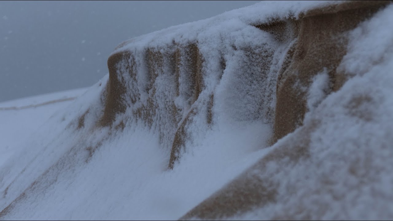 Neige du 10/01/2024 sur le bassin d'Arcachon