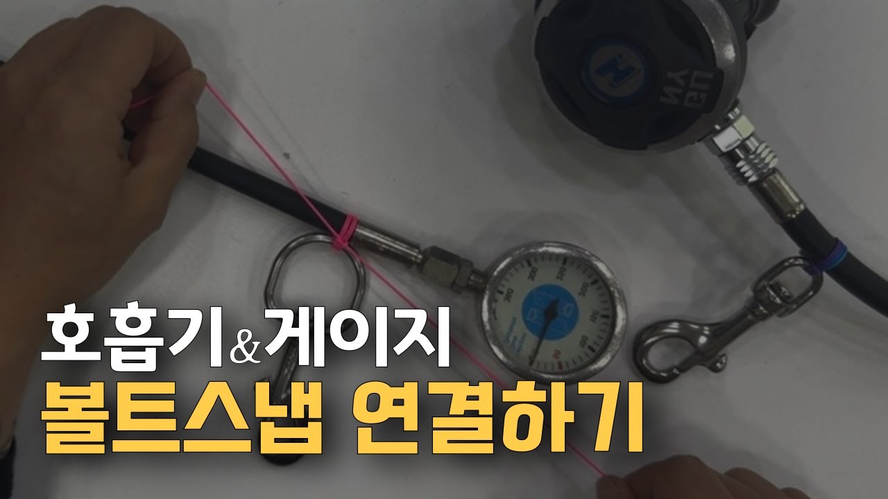 [스쿠버다이빙 장비]호흡기,게이지 볼트스냅 연결하기🔗풀리지 않는 단단한 매듭법🪢BoltSnap