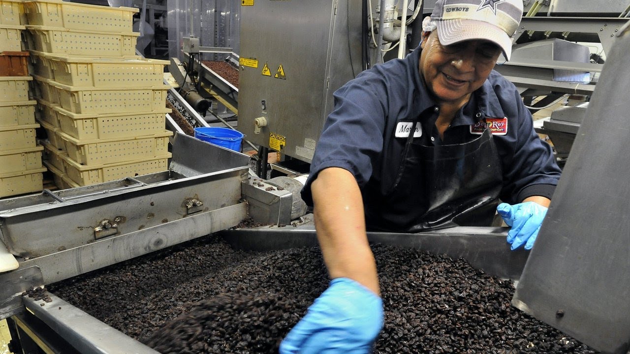 California Raisin growers produce 100% of raisins in the U.S.