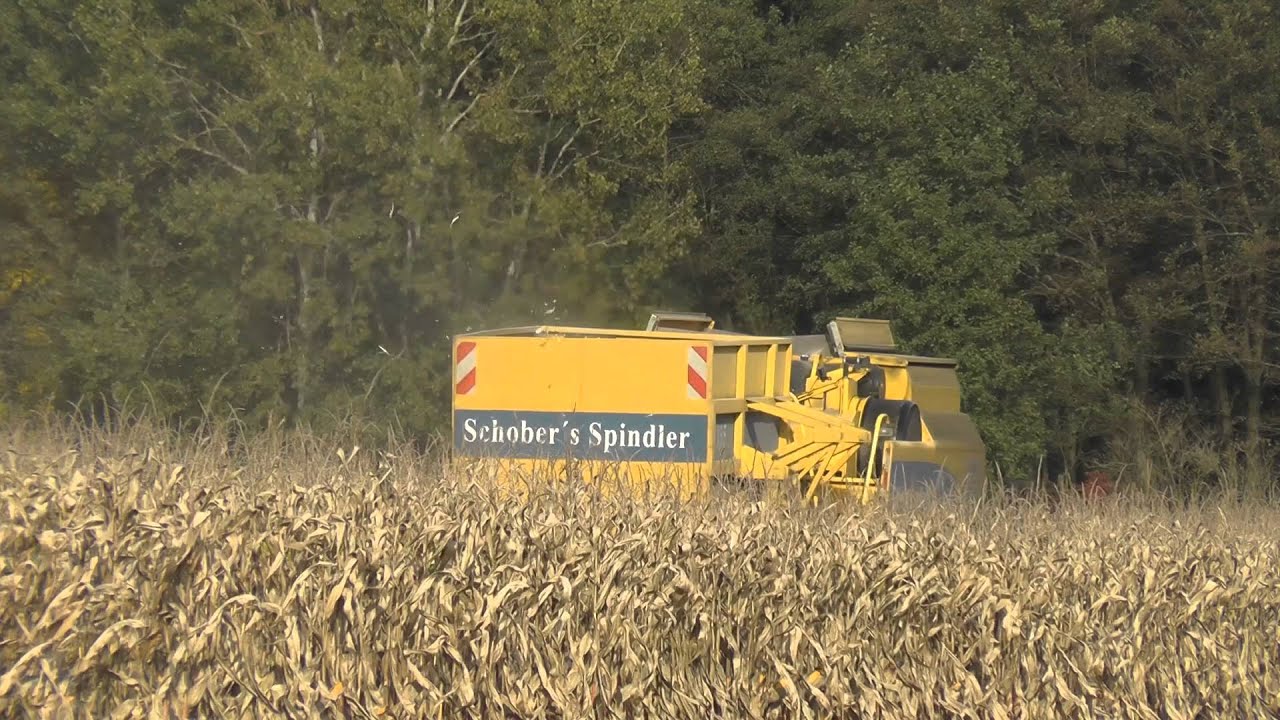 Giganten Im Herbst ein nicht mehr neuer NEW HOLLAND  im Herbst 2015