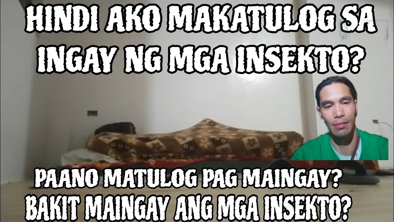 HINDI AKO MAKATULOG SA INGAY NG MGA INSEKTO. BAKIT MAINGAY ANG MGA INSECT? PAANO MATULOG PAG MAINGAY