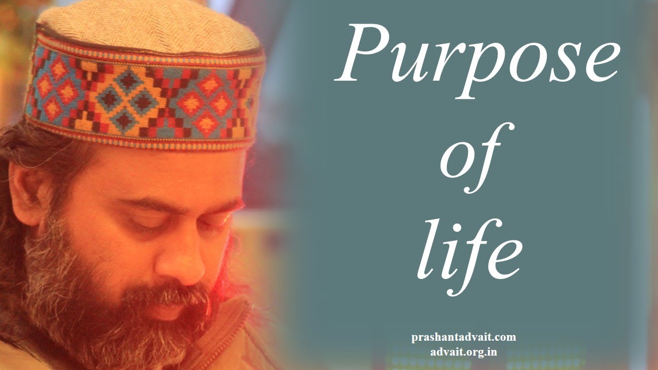 Happiness cannot be the purpose of life || Acharya Prashant, with youth (2014)