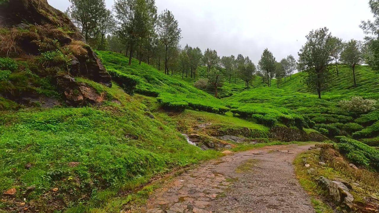 Indian farmlands | Akkamalai : a virtual tour of Valparai's hill station | Refreshing monsoon walk