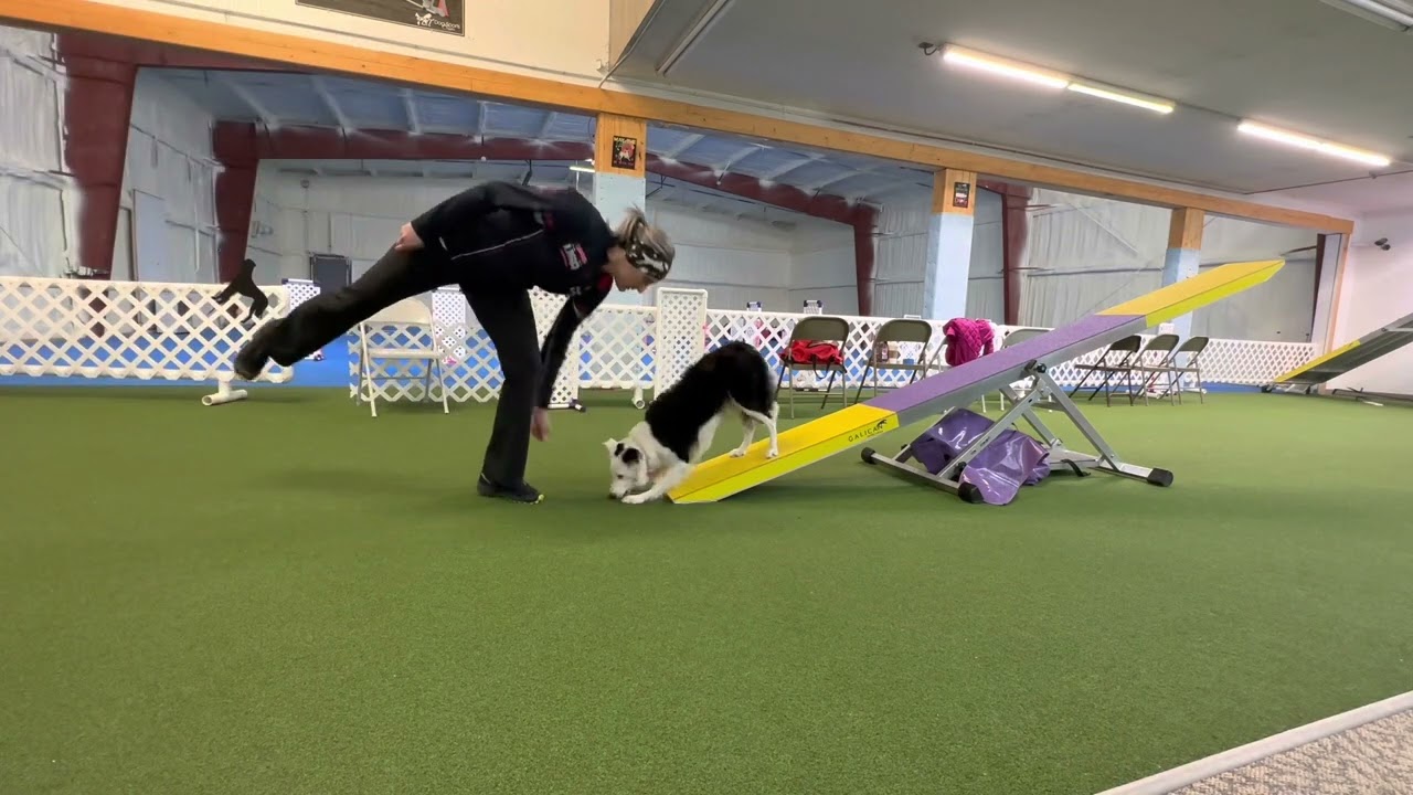 Teeter training Progression w/ target