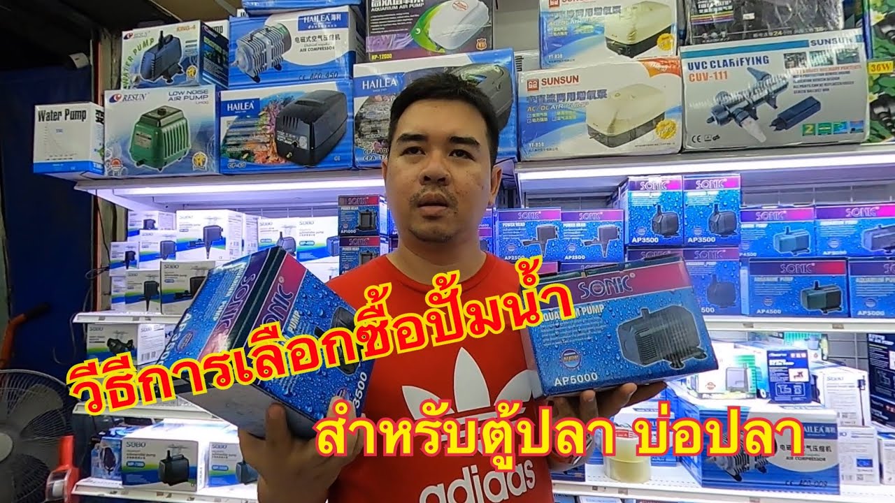 แนะนำวิธีการเลือกซื้อปั้มน้ำ ตู้ปลา บ่อปลา