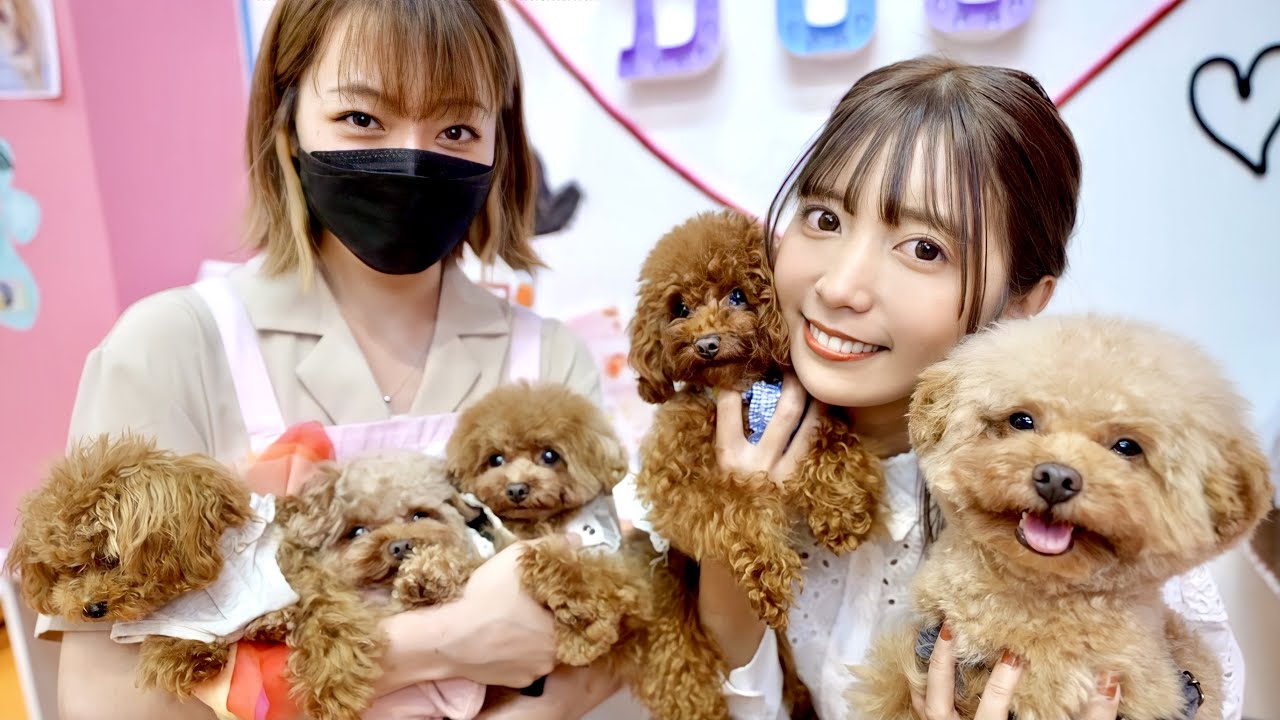 【モニタリング】ペットカフェに自分の犬がいたら気付くのか？【ぷぷ】