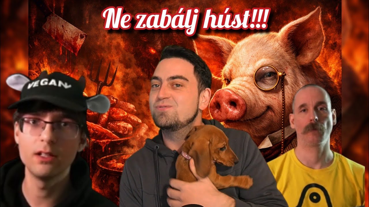 A disznó egy TUDATOS lény | A hús evés főbenjáró bűn!!?