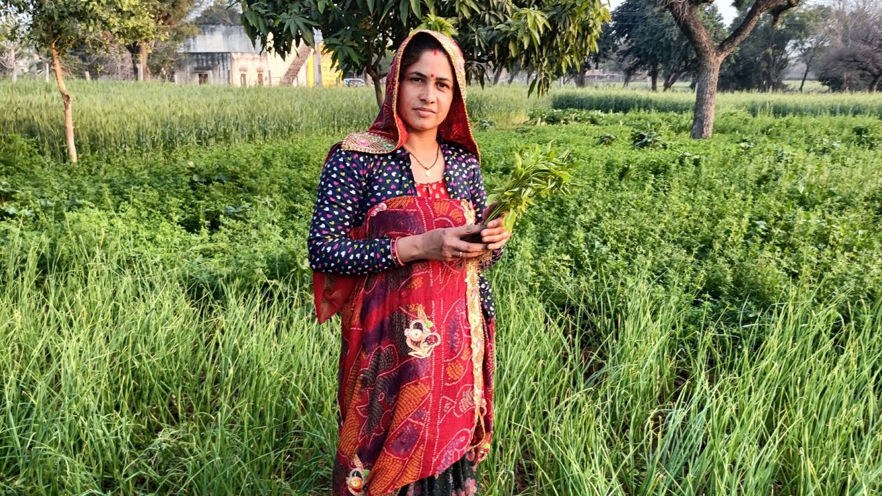 🤗🤗आज का ब्लॉक देखिए हमने खेत में क्या-क्या पौधा 🌱🌿🍀 लगाए हैं👍🙏🙏