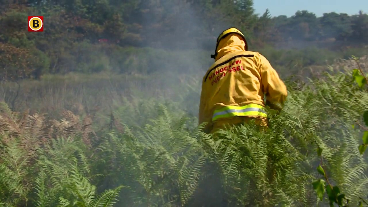 Brandweermannen uit Twente blussen natuurbrand Valkenswaard | Omroep Brabant