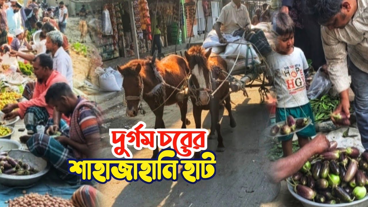 দুর্গম অঞ্চলের শাহাজানি হাট|চৌহালী ও নাগরপুরের প্রাণের হাট|টাঙ্গাইল Village life and culture. 