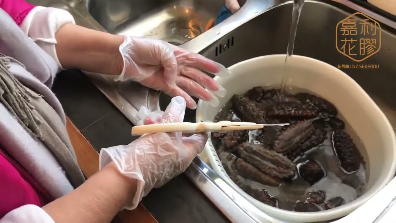 乾海參泡發方法 | BHealth |  嘉利花膠 ｜新西蘭花膠 ｜ 嘉利乾海參
