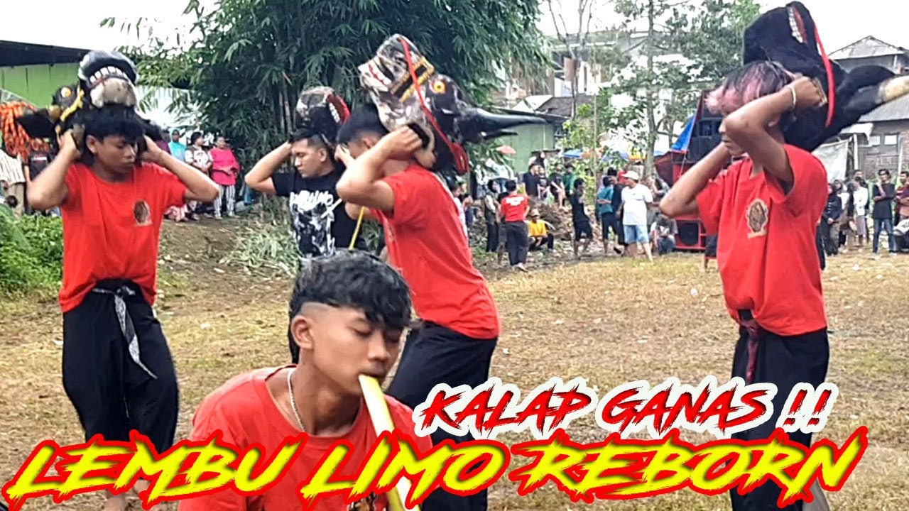 LEMBU LIMO KALAP GANAS ‼️🦬🔥 KERASUKAN DEMIT, BANDILAN LEPAS KALANGAN